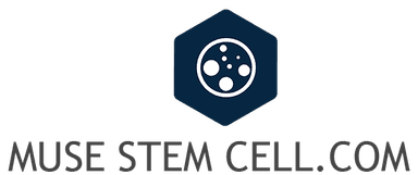 Muse Stem Cell