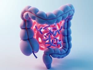 Small Intestinal Bacterial Overgrowth (SIBO): A Comprehensive Guide to Diagnosis, Treatment, and Long-Term Management