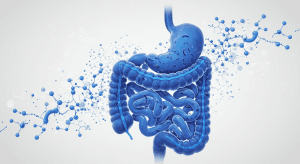 Understanding Gut Health: A Comprehensive Guide to the Microbiome and Its Impact on Overall Wellness