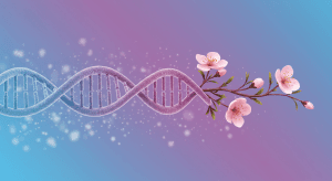 Understanding Female Reproductive Aging: A Critical Factor in Women's Longevity