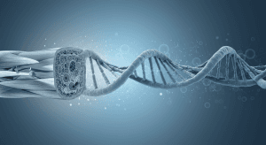 The Science of Muscle Health, Aging and Longevity: A Comprehensive Guide