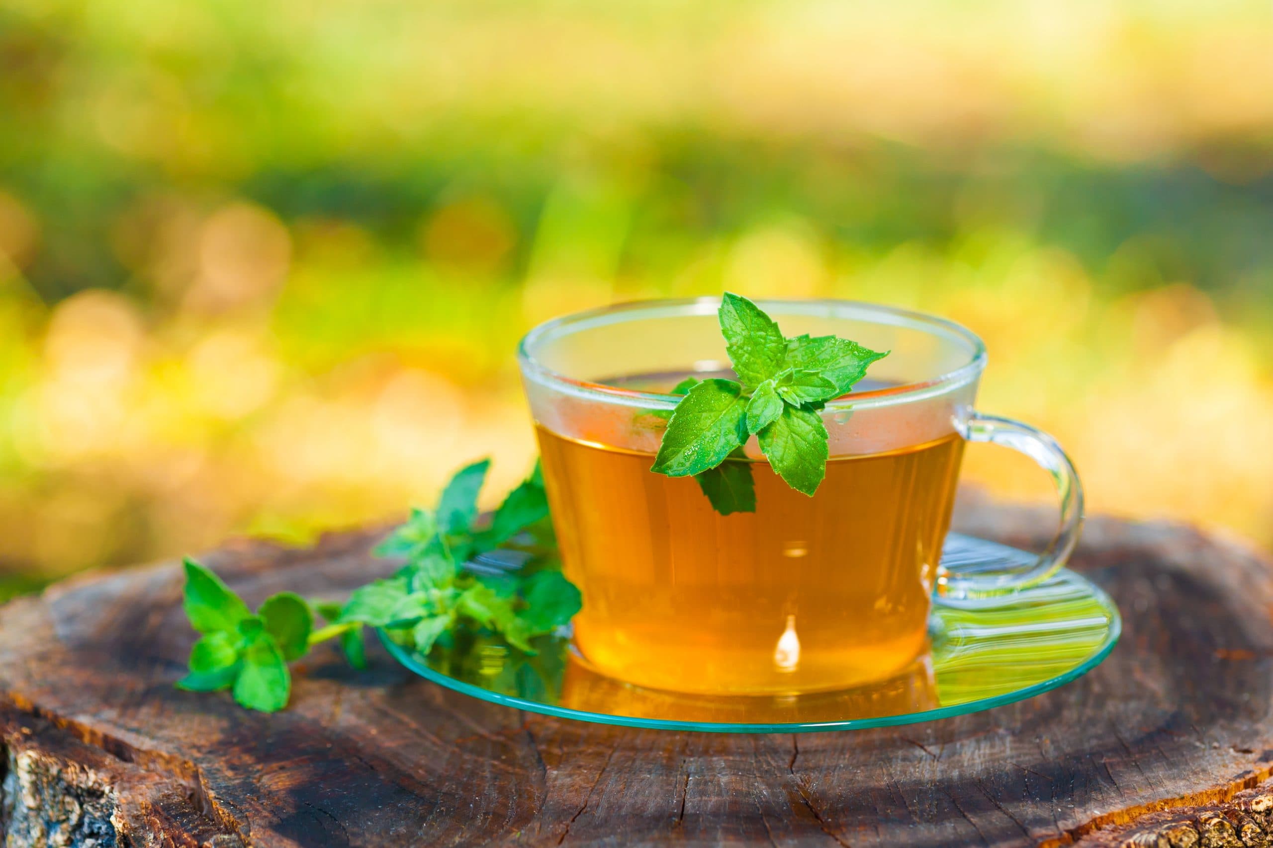 The Art of Tea: Exploring Health Benefits, Fasting Support, and Mindfulness Practices