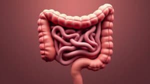 Navigating the Complexities of Gut Health: Clinical Insights for Practitioners and Patients