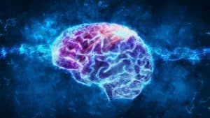 Optimizing Brain Health: A Holistic Approach to Cognitive Well-Being