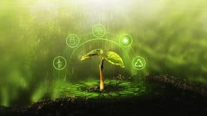 Regenerative Agriculture: Healing the Planet and Improving Human Health