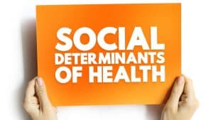 Uncovering the Roots of Chronic Disease: How Social Structures and Food Systems Impact Health