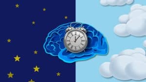 Unlocking the Power of Circadian Rhythms for Optimal Health and Well-being