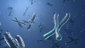 Unlocking the Secrets of Immuno-Rejuvenation: A Comprehensive Guide to Optimal Immune Health