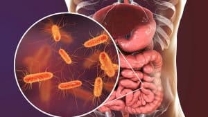 The Gut Microbiome: A Critical Factor in Physical and Mental Health