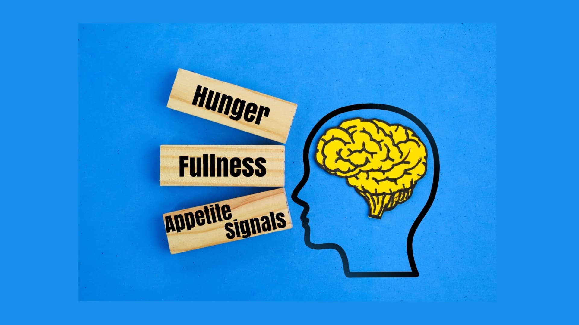 Balancing Hormones for Optimal Appetite Control and Weight Management