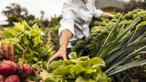 Transforming Our Food System to Combat Chronic Disease: Strategies for Health and Sustainability