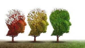 Preserving Cognitive Health Across the Lifespan
