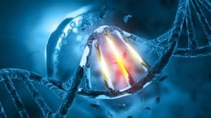 Perspectives on Biological Aging and Implications for Interventions