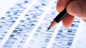 Unlocking the Genetic Secrets Behind Rare and Complex Diseases