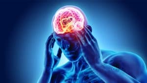 Unraveling the Intricate Biology of Stress: Insights from a Leading Neuroscientist