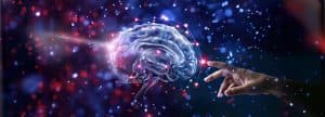 Preventing Cognitive Decline and Alzheimer's Through Diet, Lifestyle, and Inflammation Control