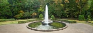 Stem Cells: The Fountain of Youth for Longevity and Healthy Aging?