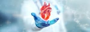 Combating Heart Disease Through Innovation